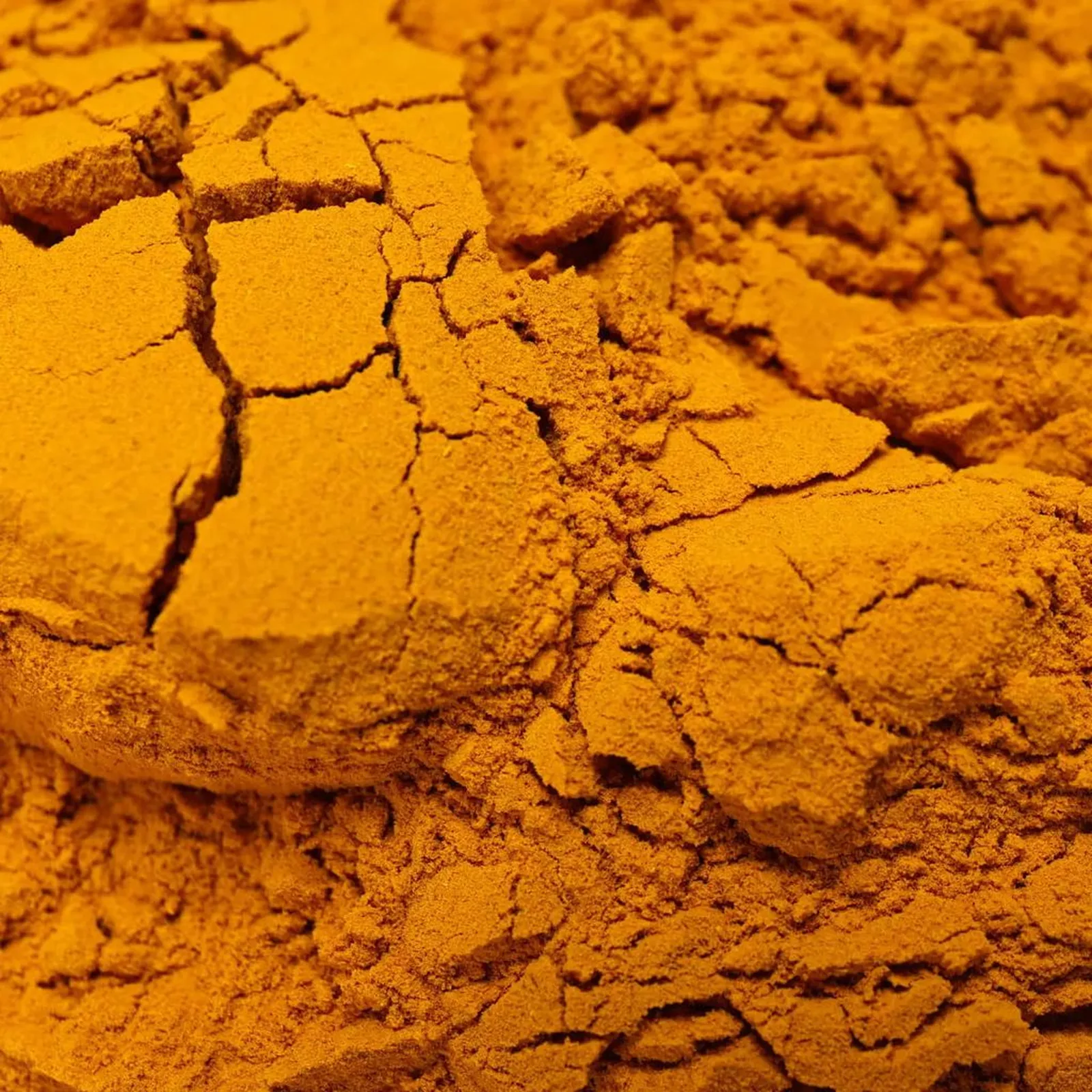 Açafrão da Terra em Pó (Cúrcuma)