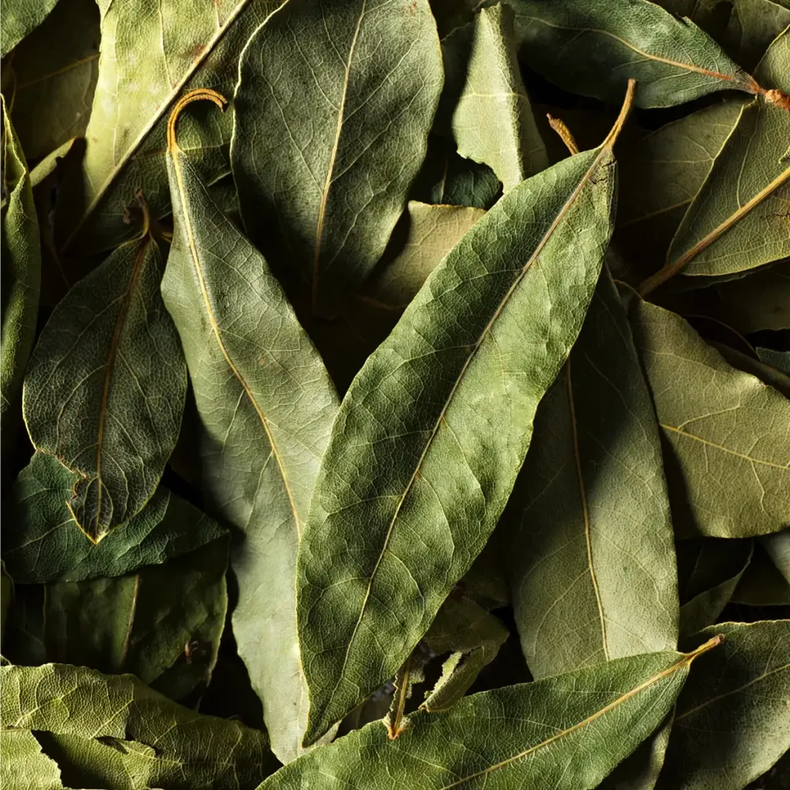 Louro em Folhas Desidratado